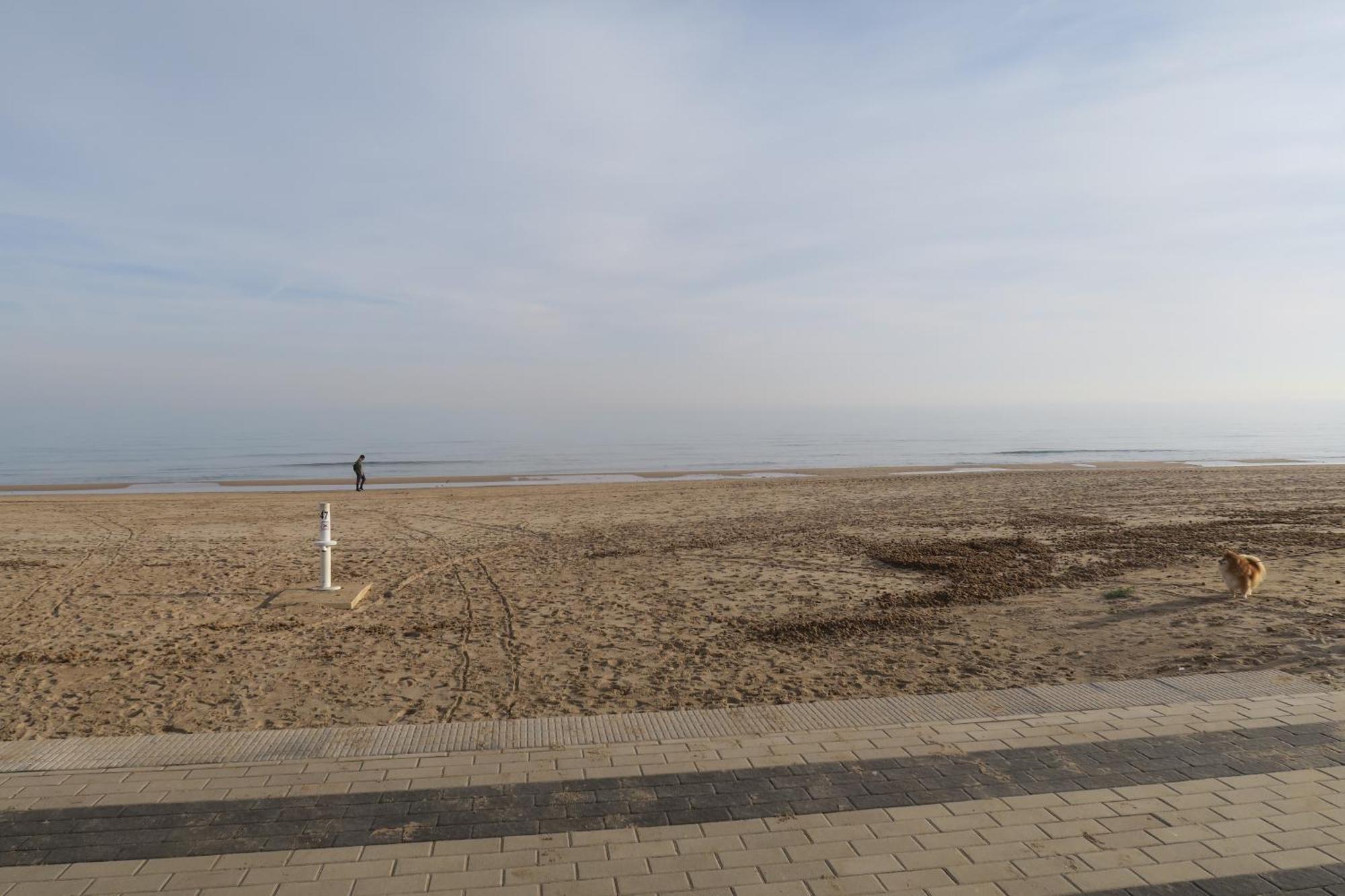 Апартаменти A 50 Metros Del Mar Оліва Екстер'єр фото